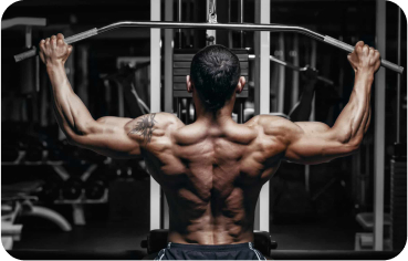 Enhances Muscle Strength & Size